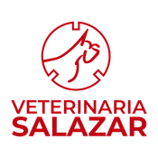 Veterinaria Salazar